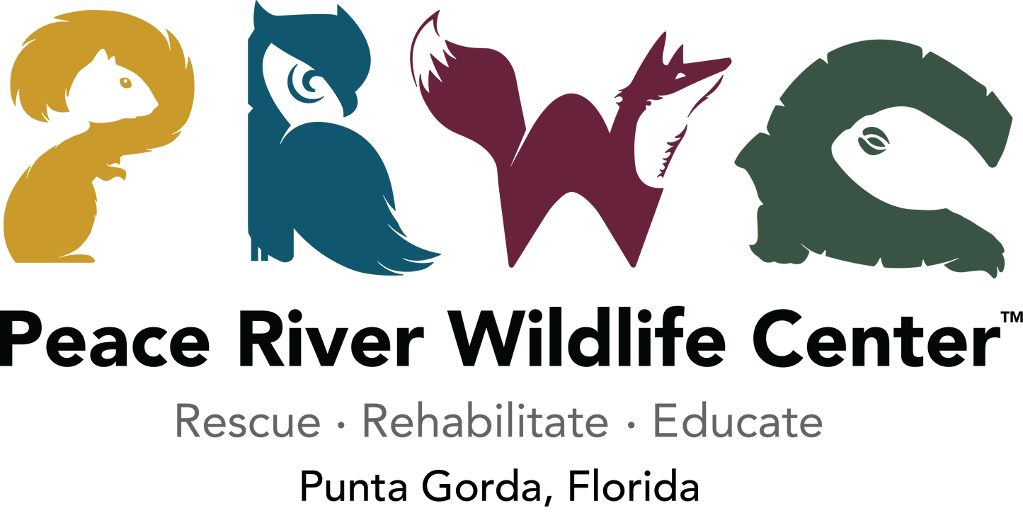 Support Donate Now and SAVE a 'WILD' life!