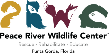 Support Donate Now and SAVE a 'WILD' life!