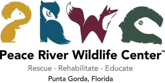 Support Donate Now and SAVE a 'WILD' life!